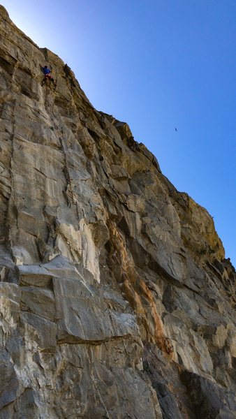 Cliff T pulling through the crux on his redpoint of House of Pain