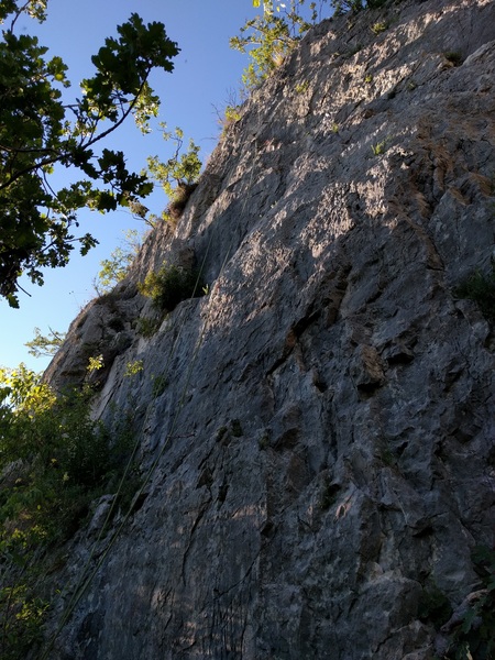 Sans Souci