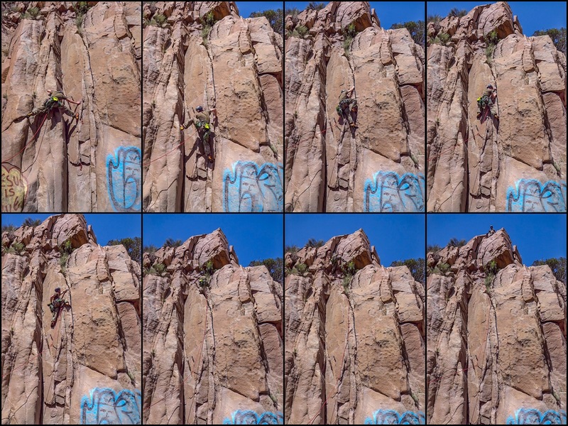 Sequencing the stone.