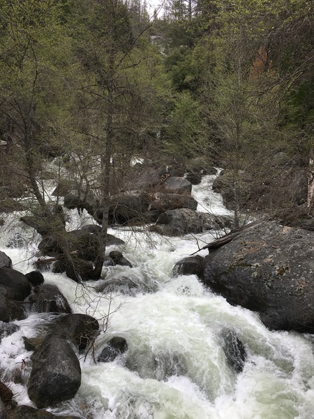 The rapids below the Chilnualna Falls, feeding into the Merced. Photo taken from steel frame concrete bridge crossing the creek.