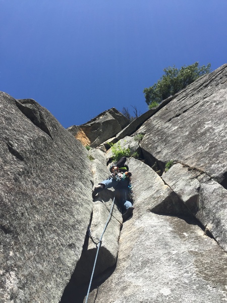 Golden Needles double cracks!