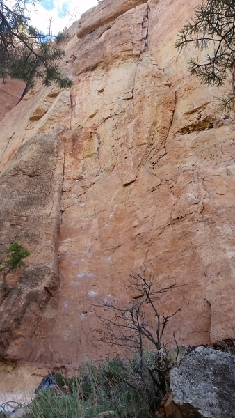 Routes left of muscle beach. Maybe Gabby and Glass Slippers.