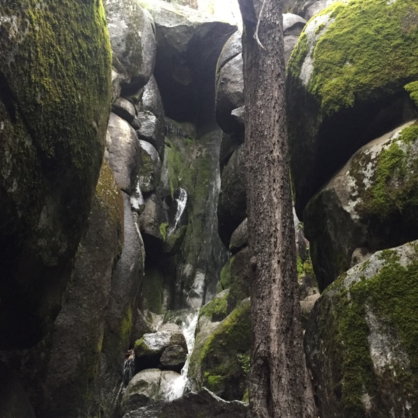 Dave's Grotto, hidden in the mountainside above Wawona