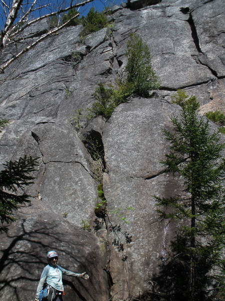 S Matz at base of 3 Blind Mice