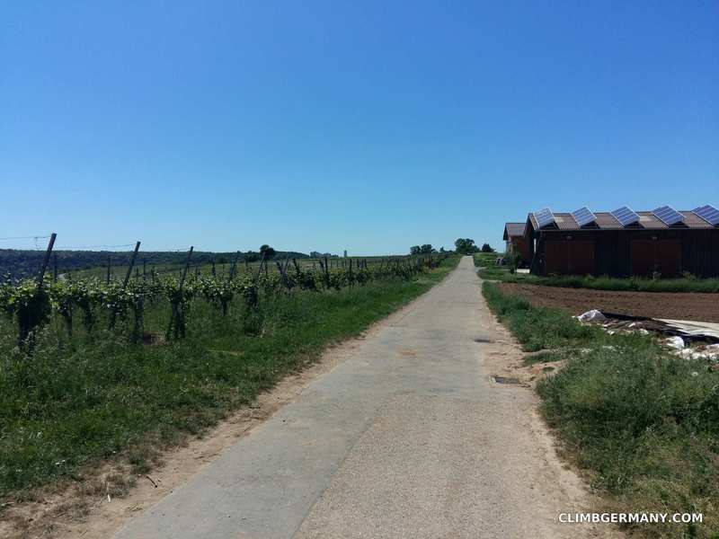 This road takes you through local vineyards directly to the crag.