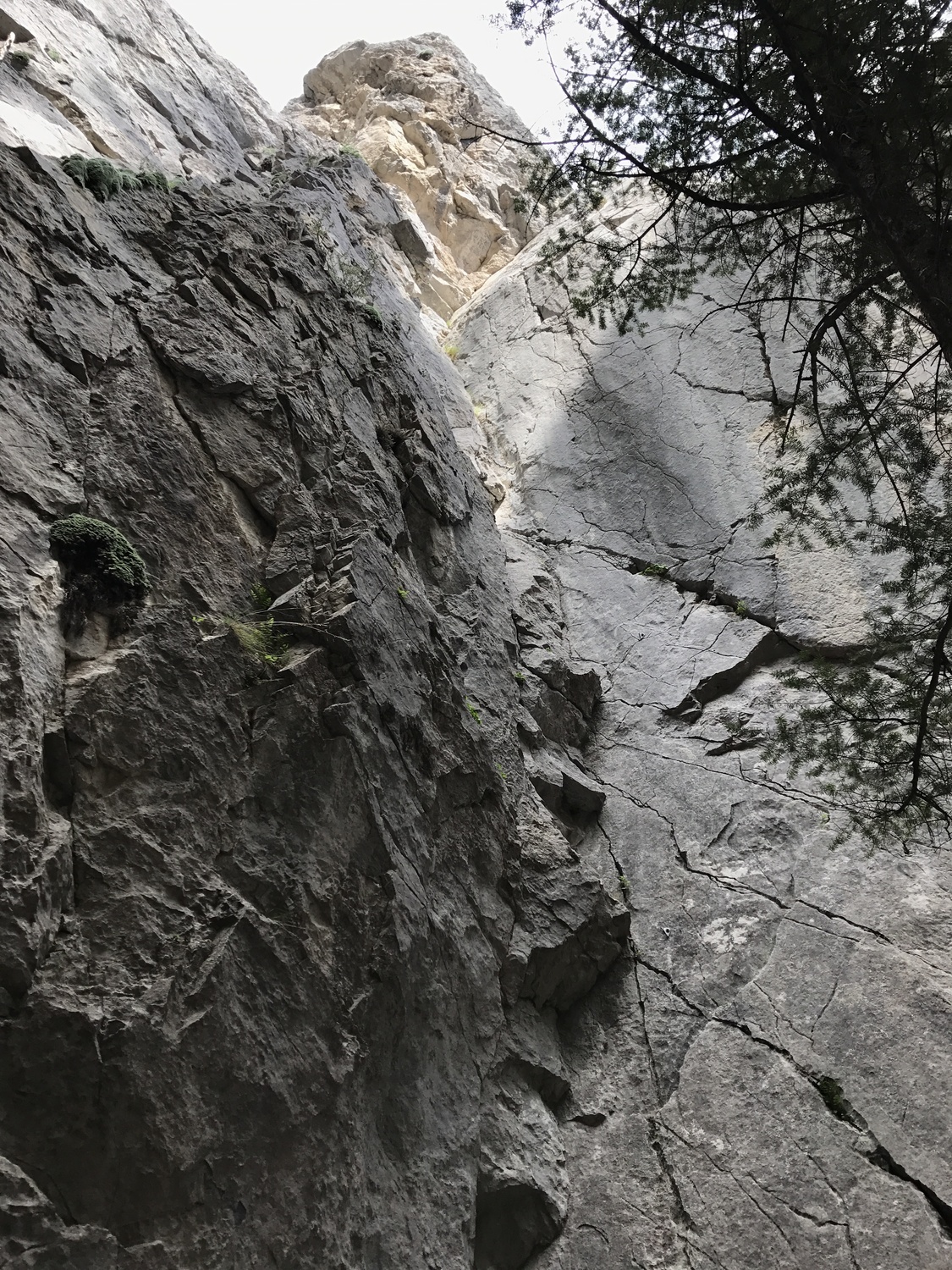 Over the Shoulder Boulder Holder