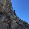 Marc Tarnosky leading P5. The crux sections of the route are encountered immediately after passing the bush visible to the right of Marc's leg.