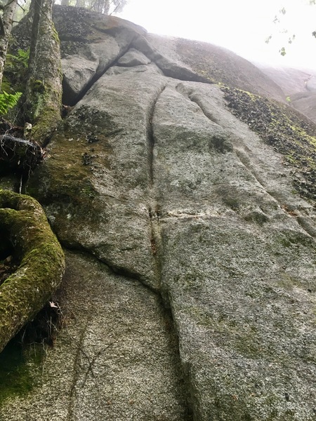 Start at double maple tree (not seen in picture) at left side of the cliff