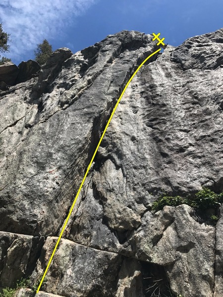Crocodile Crack