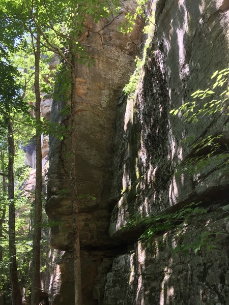 Route 48 is the crack in the right facing corner.