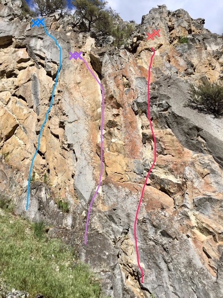 This photo shows the right three routes on the west side of French Gulch Slab. From left-to-right: Vacas Muertos (blue), Charismatic Mega-fauna (purple), and No step on Snek (red).