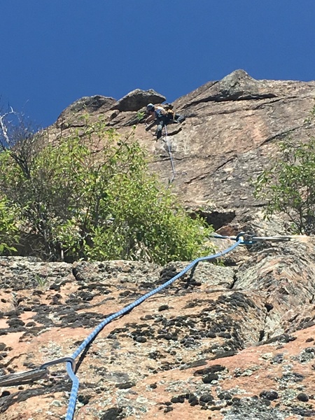 headed to the top