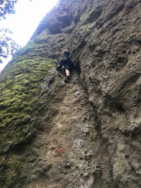 Climbing In Chimacum Rock, Olympics & Pacific Coast