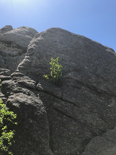 Fact or Friction. Not a great route- do it because you are there and need to learn to love slabs!