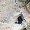 Setting into the crux