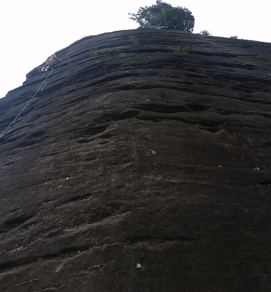 White strip is the bolt line right in the middle here.