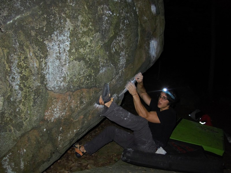 fern on the start jugs