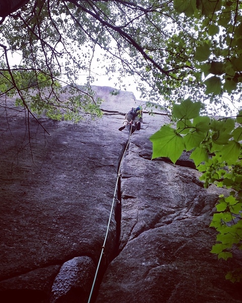 2/3 the way up. Amazing climb.