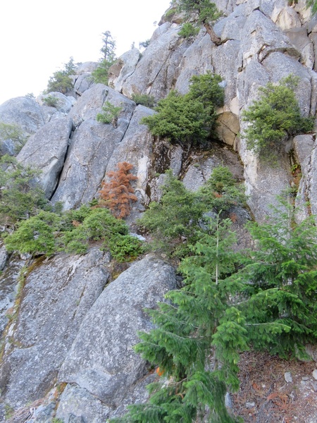 To get to routes on N Face (e.g. Chouinard-Herbert) you have to scramble up this. The goal is to find a 4th/low 5th way. We took the ramp in the photo and it seemed to work okay.