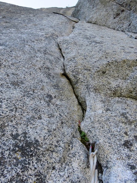 11c/C1 section on Pitch 5.