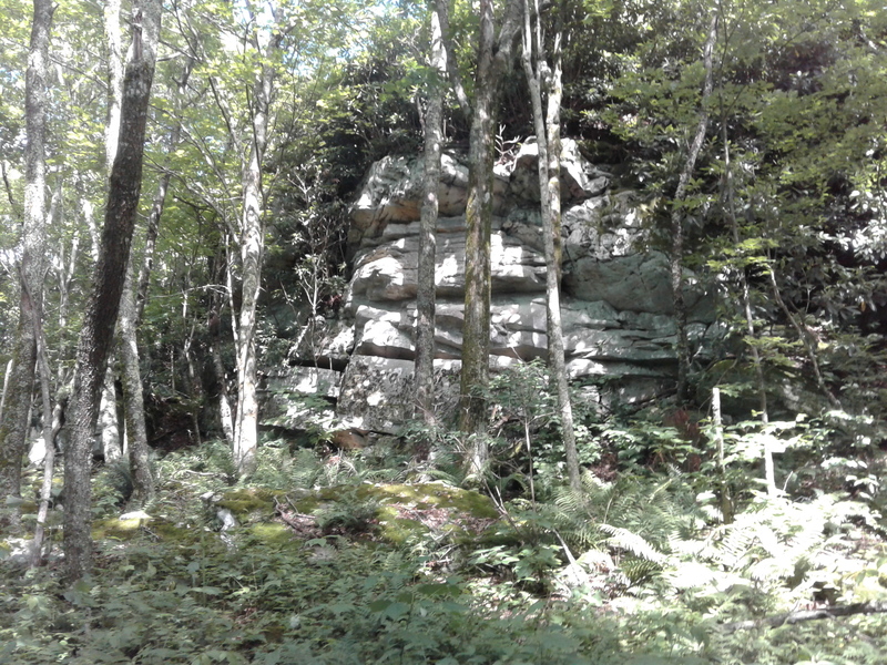 Northwest of AT, faces northwest, along the first half mile (before the AT switches to be in front of the ridge line) Not visible from trail.