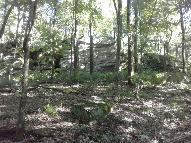 This boulder probably has a name and problems, but I am unsure. It is easily visible off the AT, to the south. Faces north.