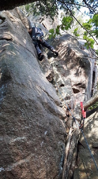 Look for the small tree to get started on the route.