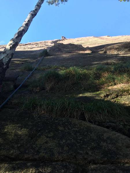 Look to get started near this small tree and get ready for the easy, but thin crux early on.