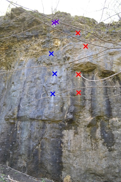 Photo of Tire Fire (5.11a) (blue) and Meltdown (5.11c) (red)- shared anchors (purple)
