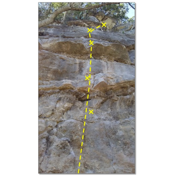 4 bolts