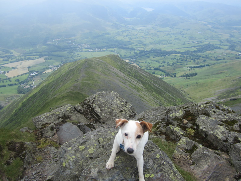 On the Edge