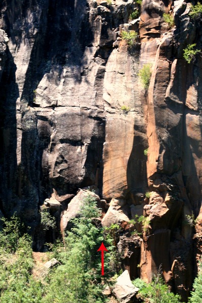 A view of the left side of the Jungle Wall with Canyon Cooler standing center.