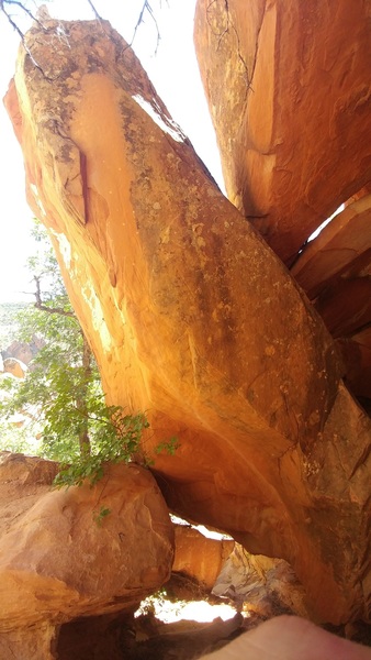 Lunch Lady, west face, Mystery Meat.