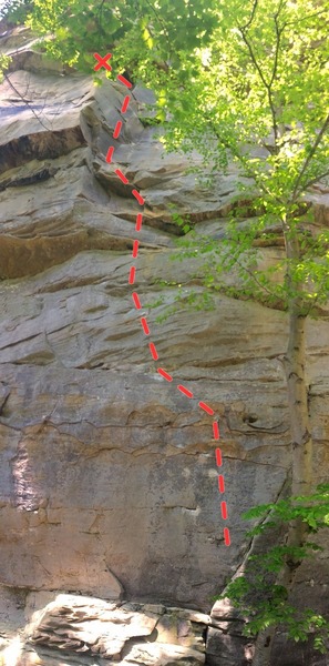 Gauley Roger