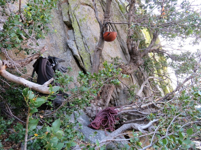 The base of the route. The start can be a bit difficult to identify but look for this tree. You start Pitch 1 by climbing through the tree.