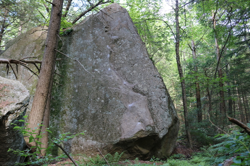 The tall featured face.