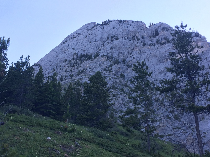 Looking at the cliff from near the top of the approach