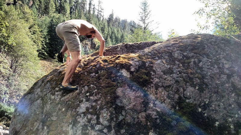 Moss Boss