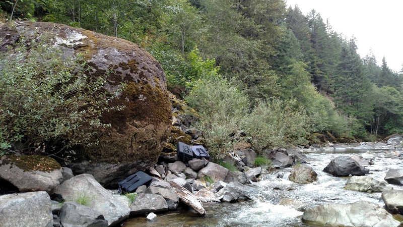 Moss Boss Boulder