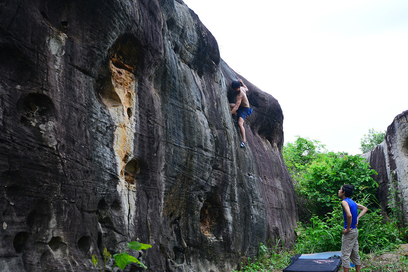 Jungle Move V4