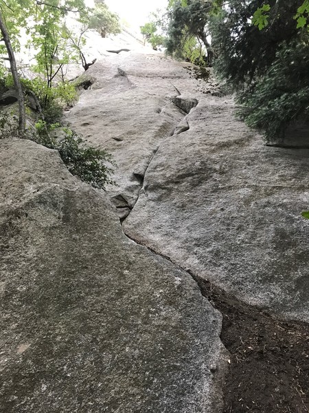 Looking up the route.