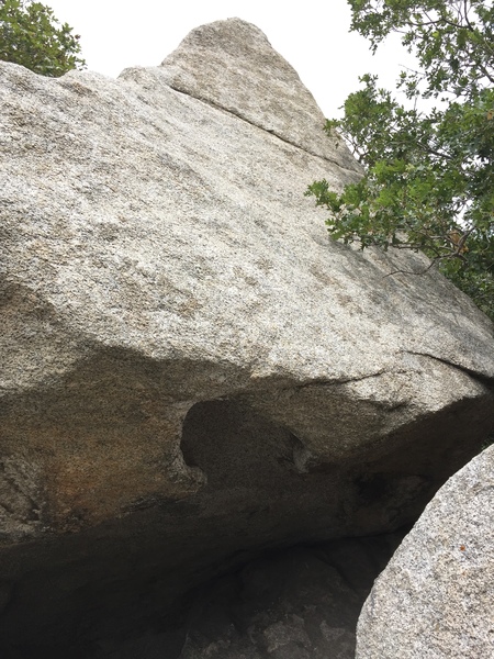 A view of the boulder up close