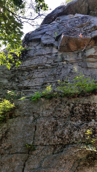 The whole pitch of As the Cliff Turns. It may appear licheny and vegetated, but it's got lots of high-quality climbing!
