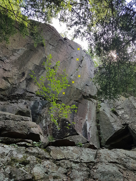 7. In the Red 5.14-