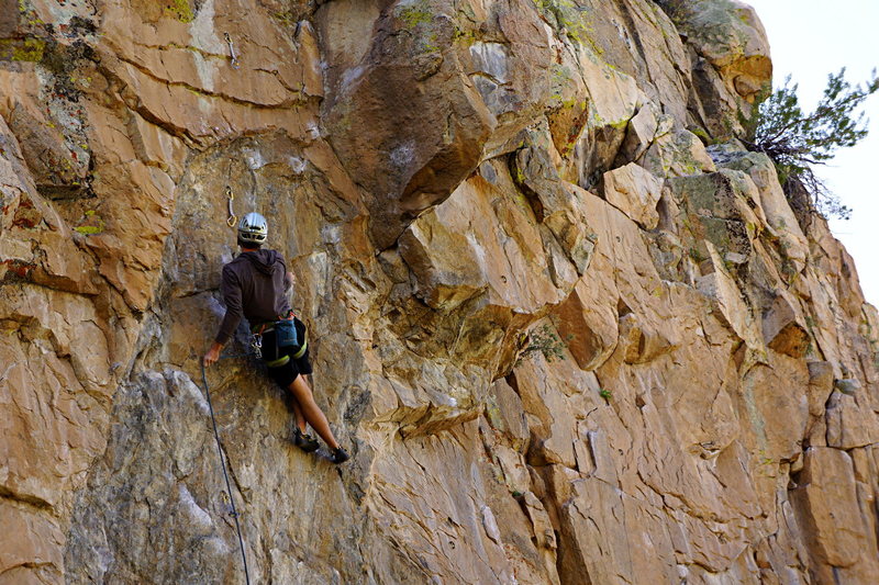 Tyler L. almost at the crux of 'Mighty Earth'