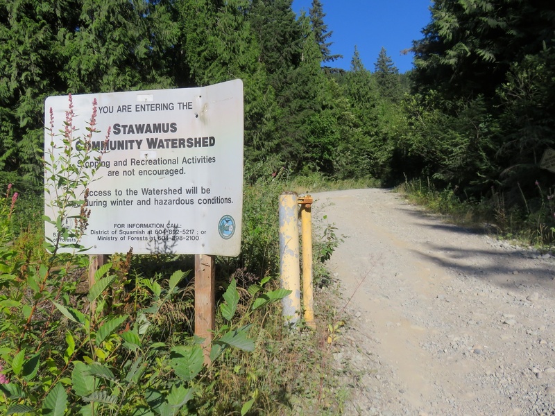The road to Fluffy Kitten Wall goes up a Stawamus Community Watershed.