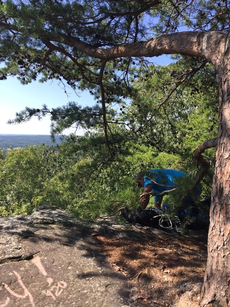 rappel tree at top. bolts are to the right of tree when looking down