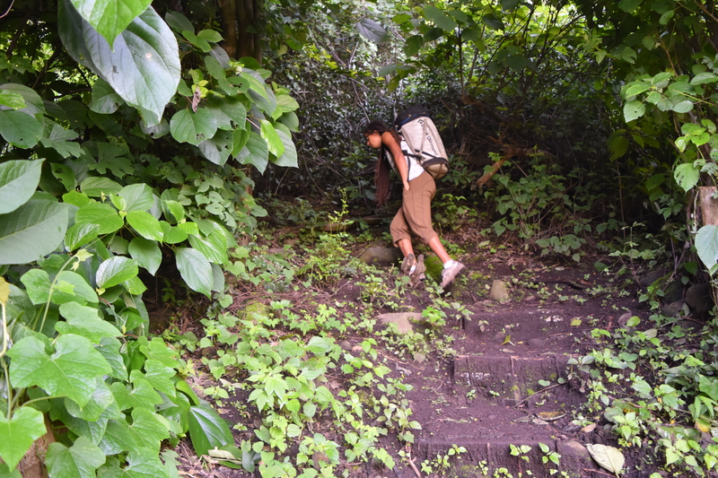 11. Path up to the crag. At this point is where you make a left turn and go into more jungle-y terrain.