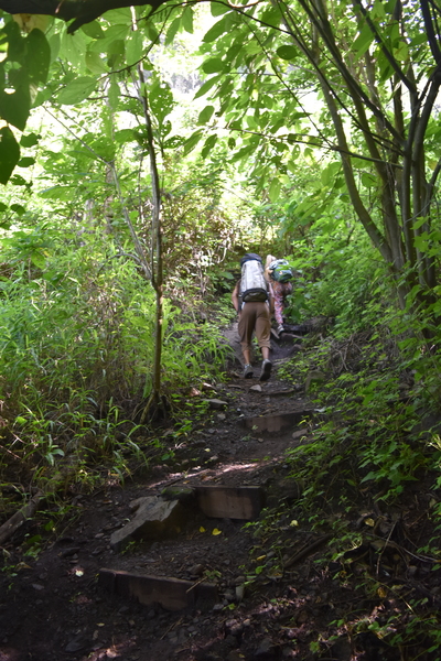 13. once you make the right turn you go up the path to go to the crag. You can see the wooden stairs here.