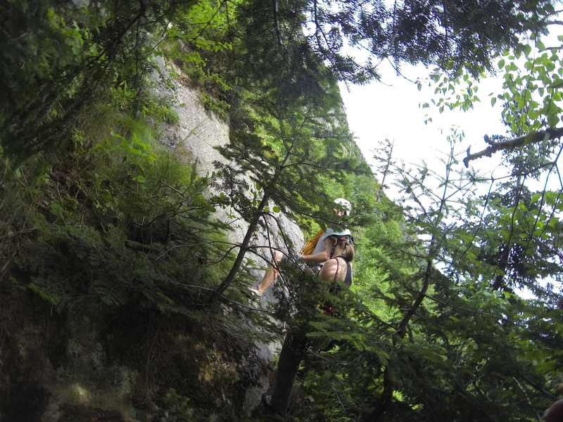 This is what I mean by vertical bushwhacking. There are slabs here and there but it's all very broken up and very steep. We keep checking the guide book to see if can figure out anything. We couldn't and just bushwacked